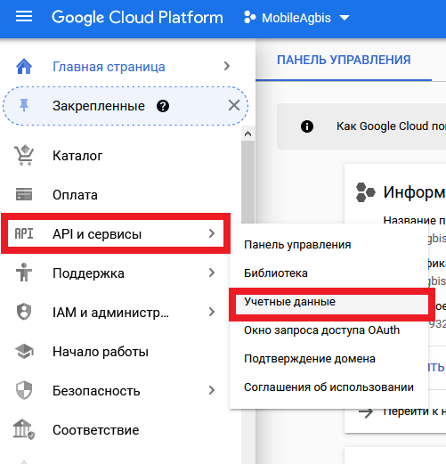 google_cloud_-_получение_ключа_api2.png